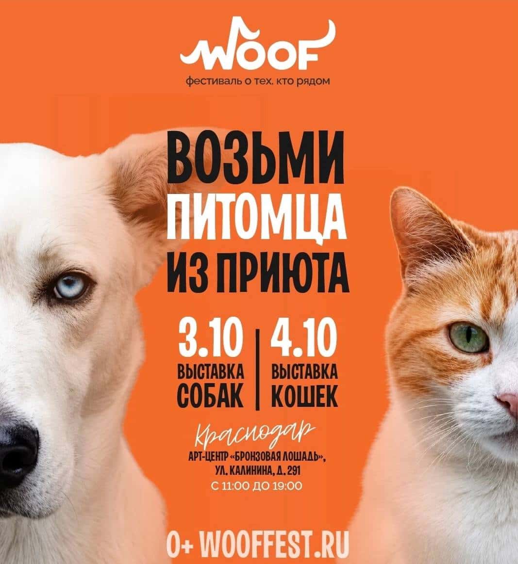 Благотворительный фестиваль Woof Fest
