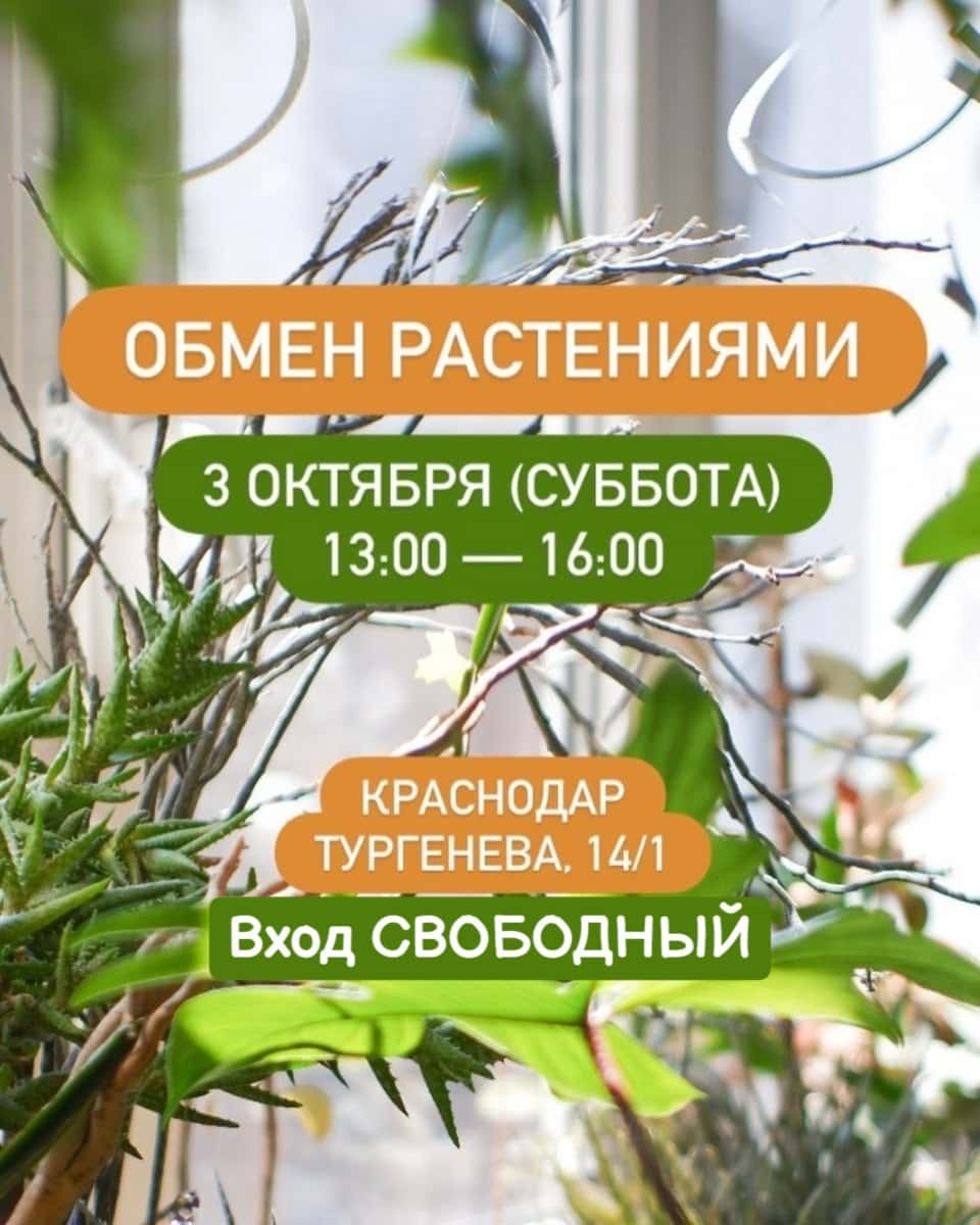Обмен растениями