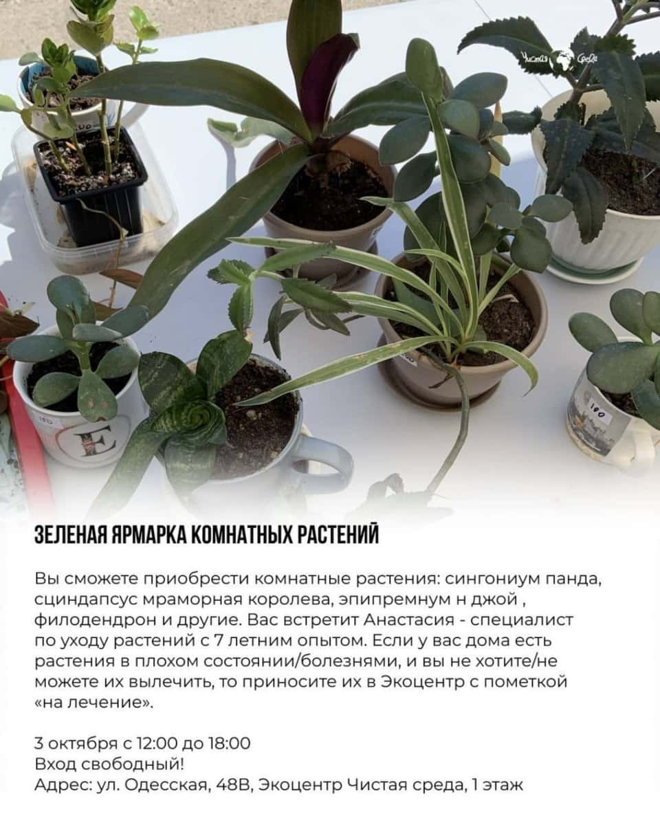 Зеленая ярмарка растений в Экоцентре