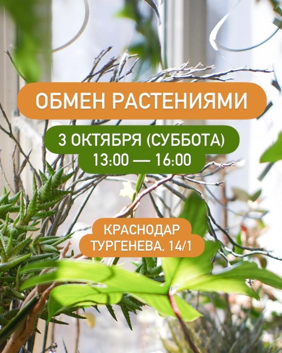 Обмен комнатными растениями