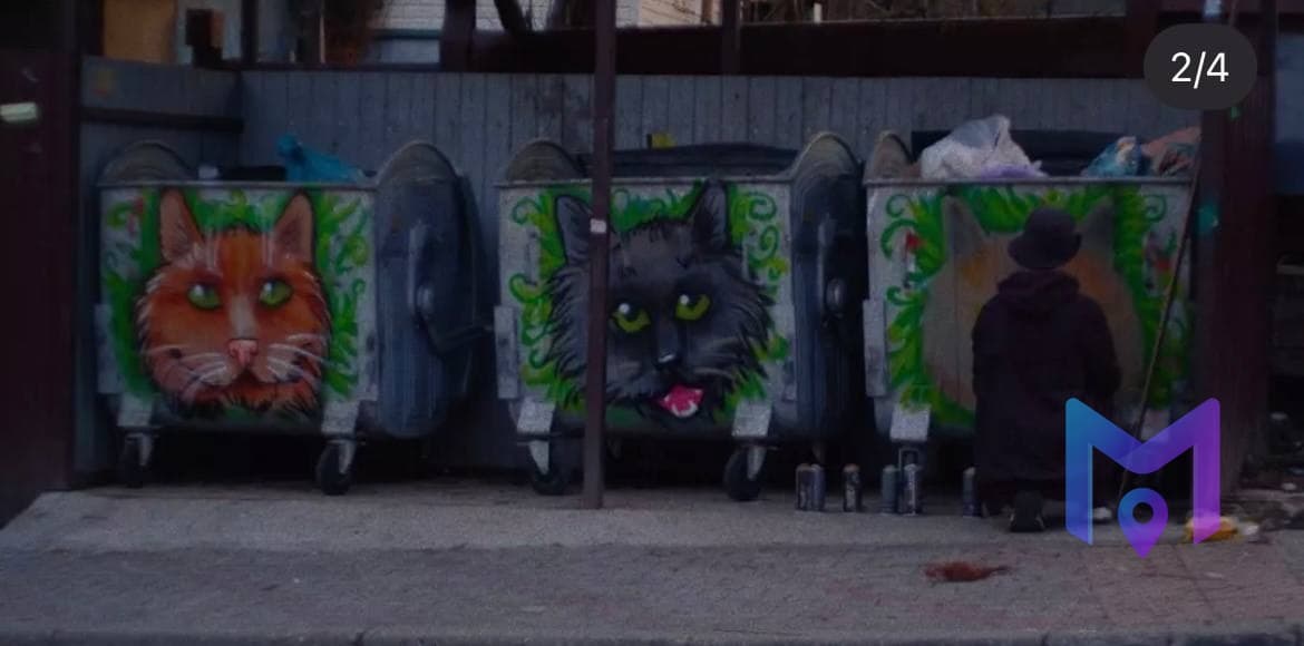 Кото-стена: народный мурал с котиками в Красной Поляне
