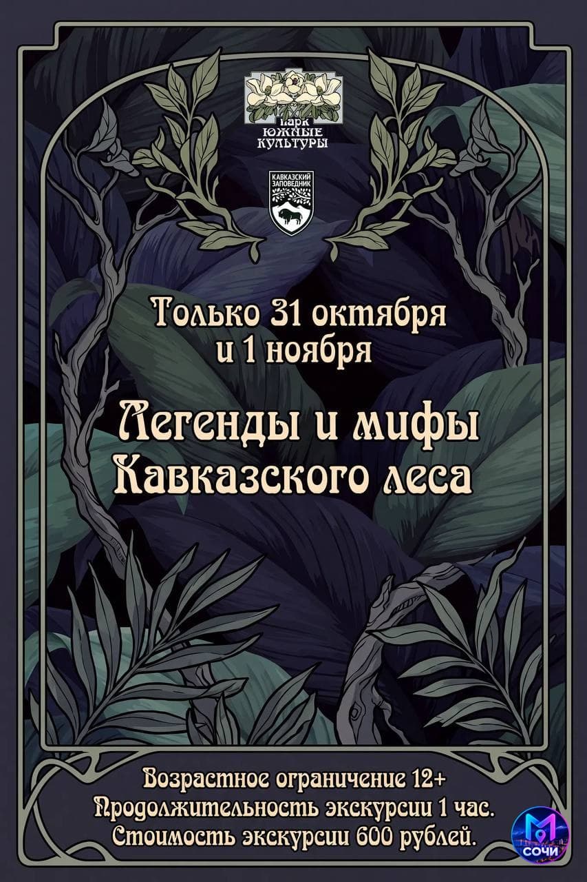 Ночная экскурсия «Легенды и мифы Кавказского леса»