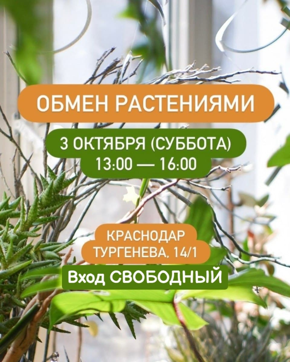 Обмен растениями