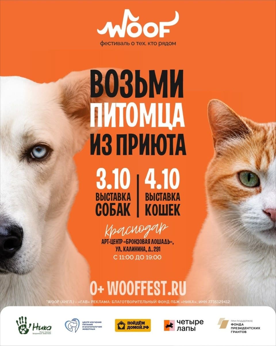 Фестиваль WOOF — встречи с животными из приютов