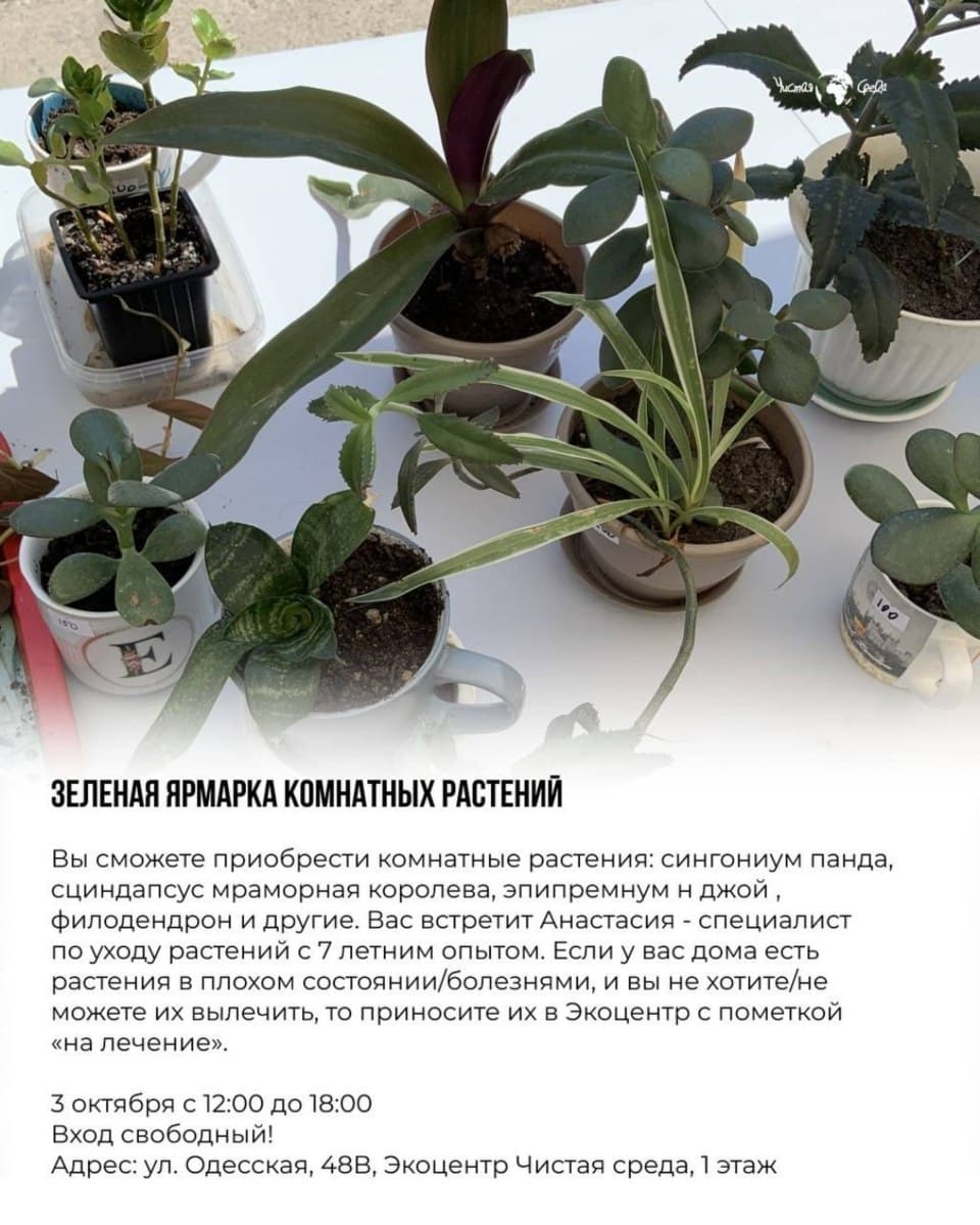 Зеленая ярмарка растений в Экоцентре