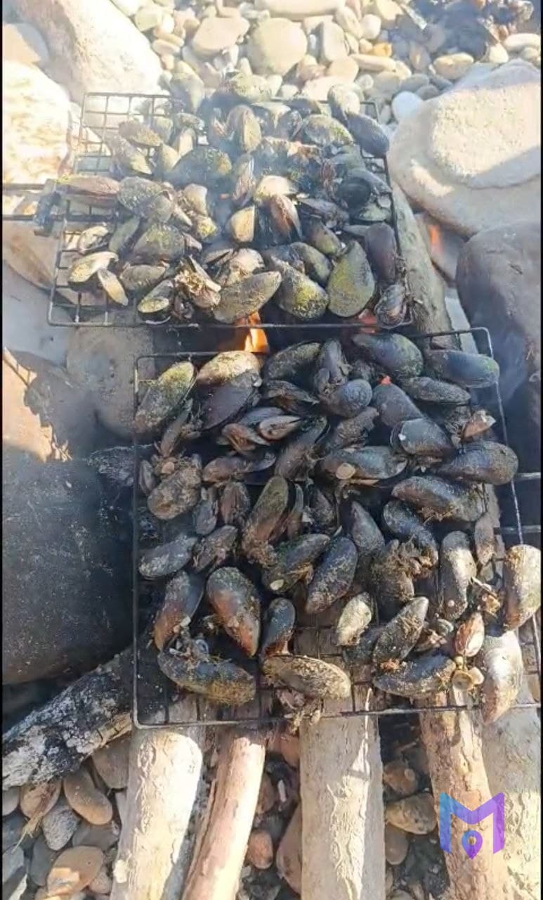 Пикник у моря на Малом Ахуне